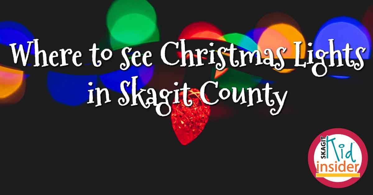 Skagit County Christmas Lights