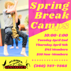 Mount Baker Gymnastics Spring Break Camp