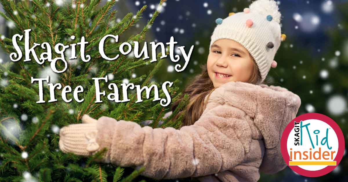 Skagit County Tree Farms