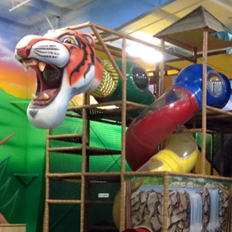 Jungle Playland Related