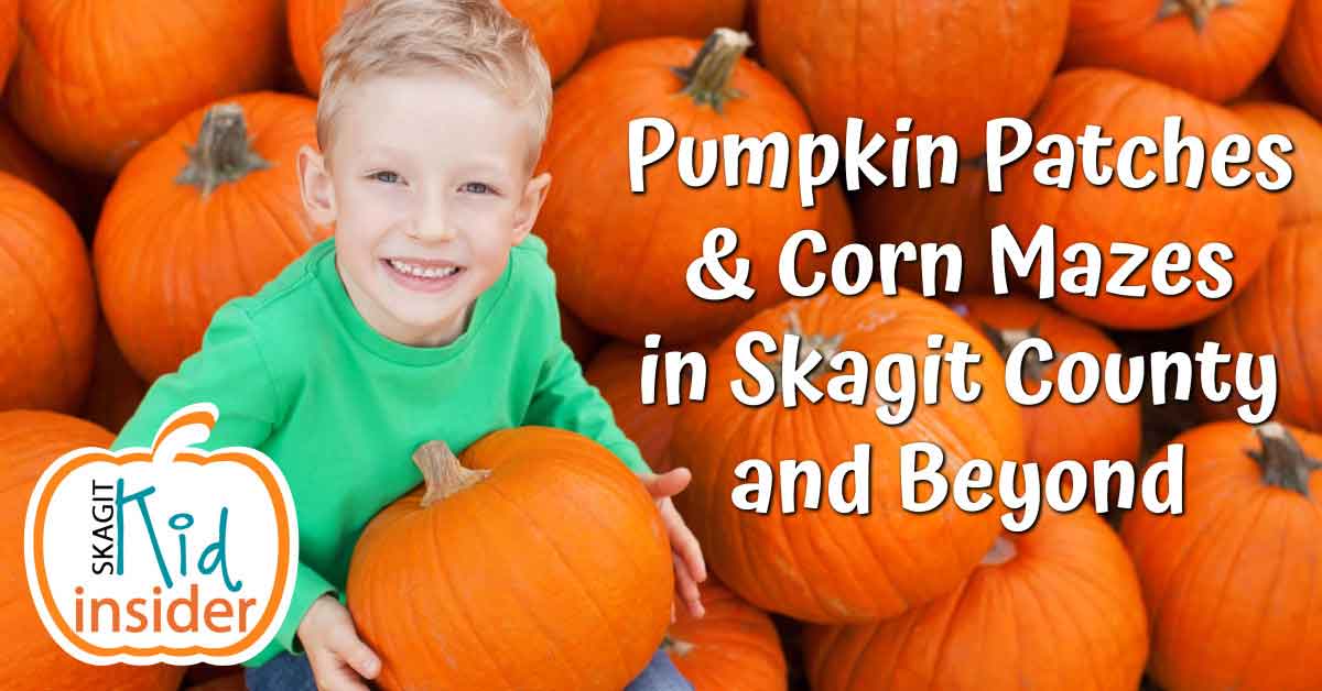 Pumpkin Patches in Skagit County