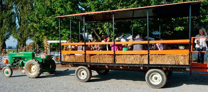 Schuh Farms Pumpkin Patch Mount Vernon WA Skagit Hay Ride