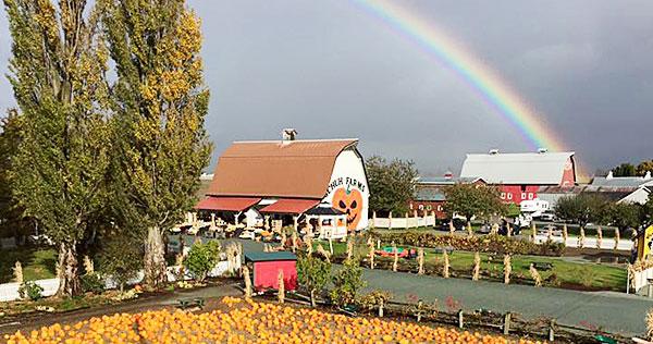 Schuh Farms Pumpkin Patch Mount Vernon WA Skagit Rainbow 2