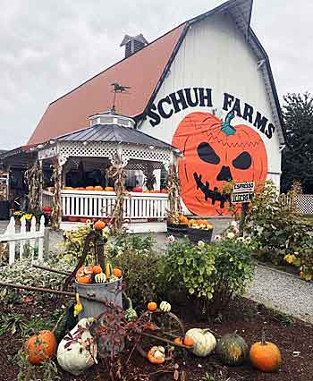 Schuh Farms Pumpkin Patch Mount Vernon WA Skagit. Pumpkin Barn