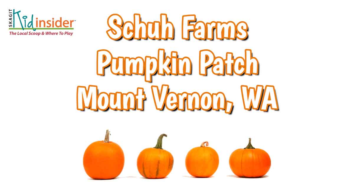 Schuh Farms Pumpkin Patch in Mount Vernon, WA