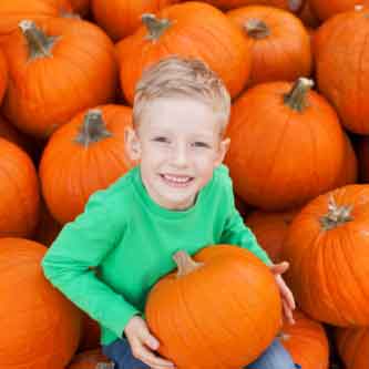 Skagit Pumpkin Patches Related