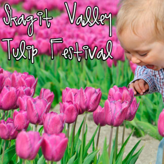 Skagit Valley Tulip Festival with Kids