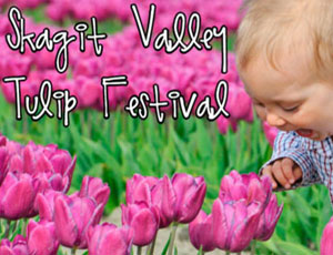 Skagit Valley Tulip Festival Guide for Families